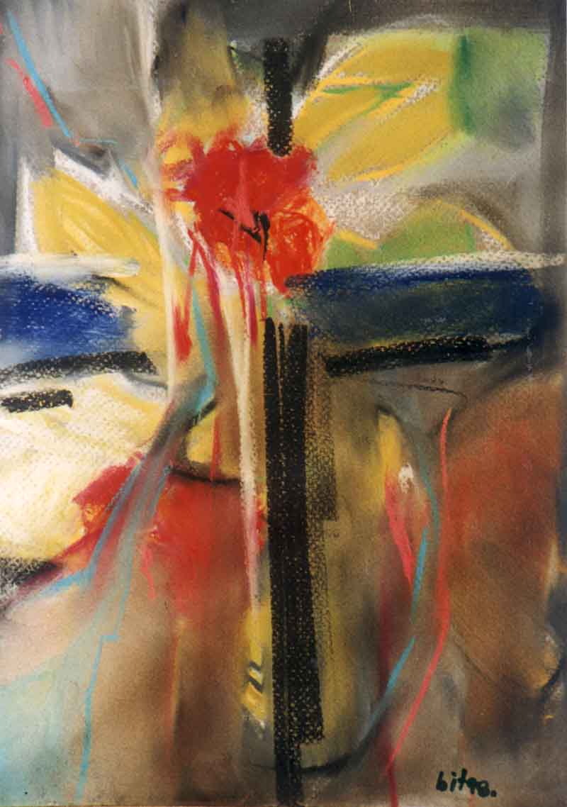 Tomislav Marijan Bilosnić - Cvijeće ravnokotarskih vila 14